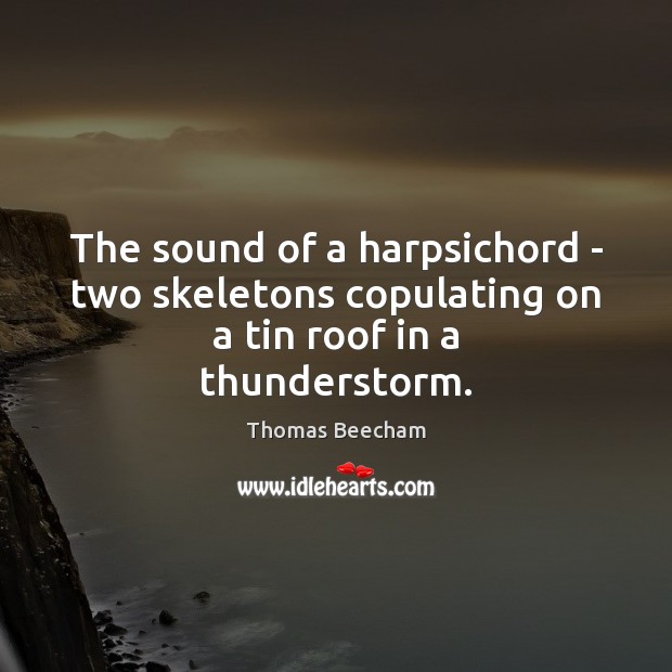 The sound of a harpsichord – two skeletons copulating on a tin roof in a thunderstorm. Image