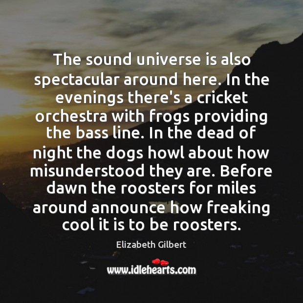 The sound universe is also spectacular around here. In the evenings there’s Elizabeth Gilbert Picture Quote