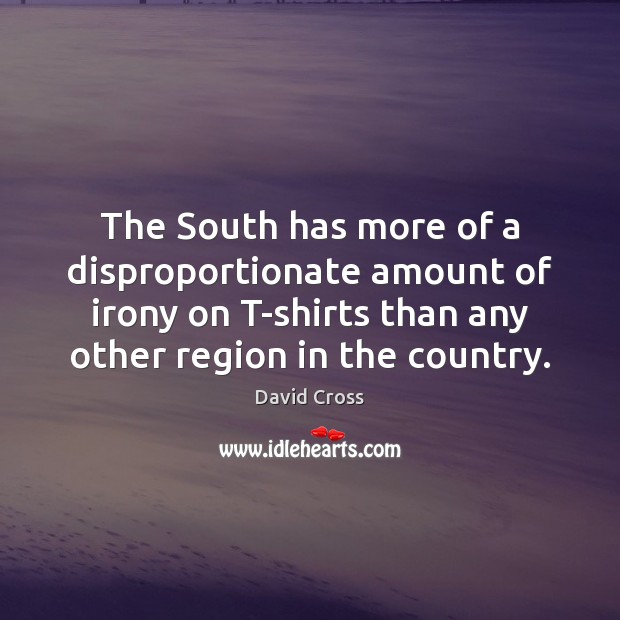 The South has more of a disproportionate amount of irony on T-shirts David Cross Picture Quote