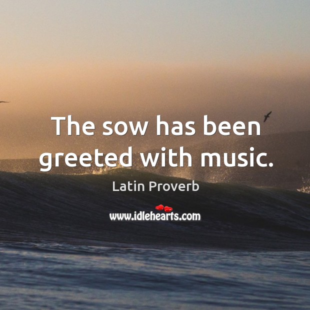 The sow has been greeted with music. Latin Proverbs Image