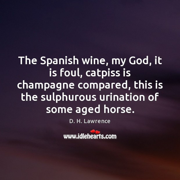 The Spanish wine, my God, it is foul, catpiss is champagne compared, Image