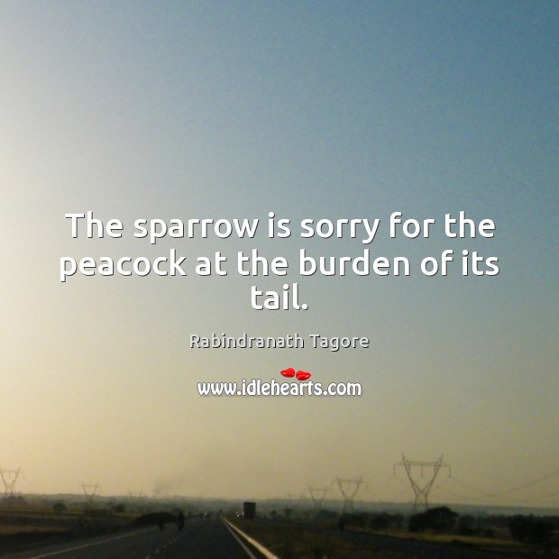 The sparrow is sorry for the peacock at the burden of its tail. Image