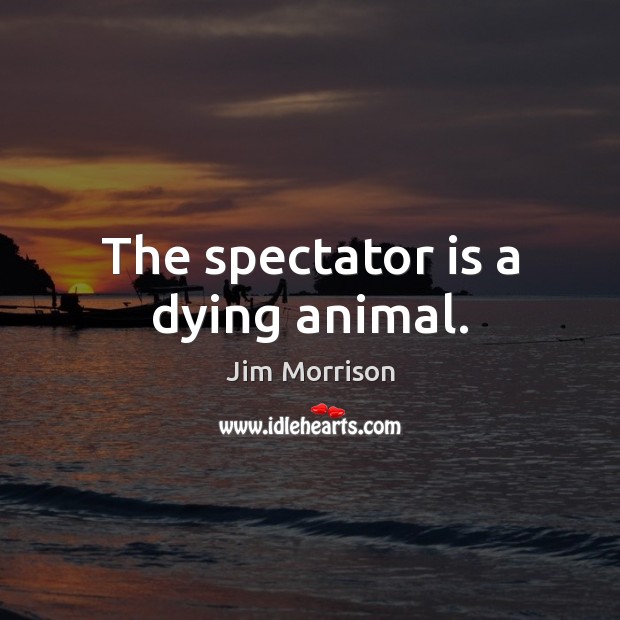 The spectator is a dying animal. Jim Morrison Picture Quote
