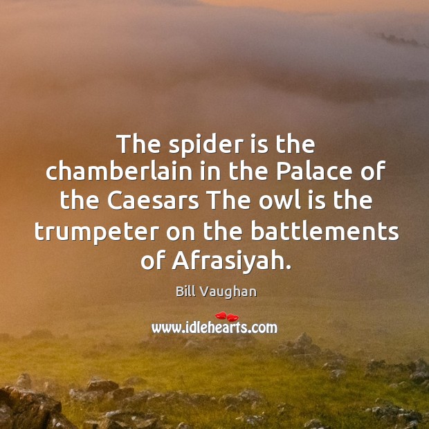 The spider is the chamberlain in the Palace of the Caesars The Bill Vaughan Picture Quote
