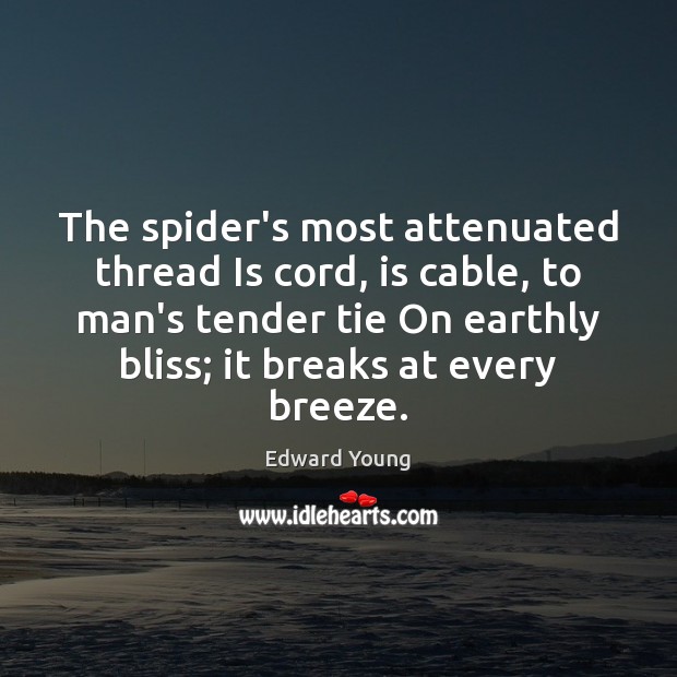The spider’s most attenuated thread Is cord, is cable, to man’s tender Edward Young Picture Quote