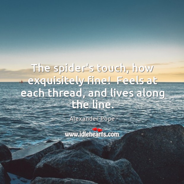 The spider’s touch, how exquisitely fine!  Feels at each thread, and lives along the line. Image