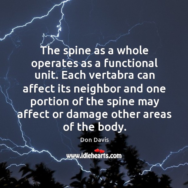 The spine as a whole operates as a functional unit. Each vertabra Don Davis Picture Quote
