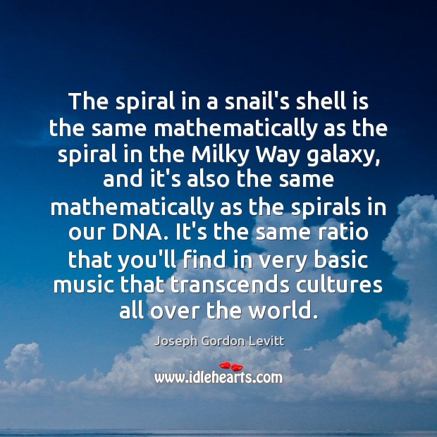 The spiral in a snail’s shell is the same mathematically as the Joseph Gordon Levitt Picture Quote