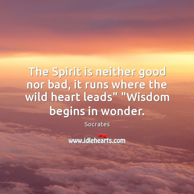 The Spirit is neither good nor bad, it runs where the wild Socrates Picture Quote
