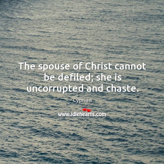 The spouse of Christ cannot be defiled; she is uncorrupted and chaste. Cyprian Picture Quote