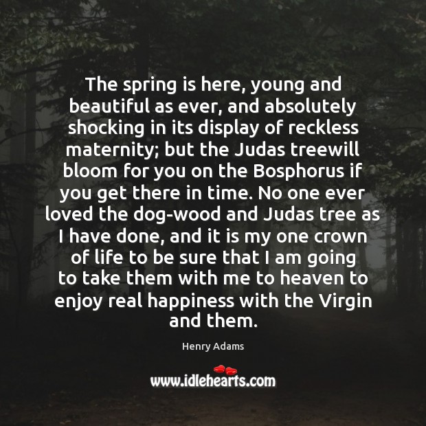 The spring is here, young and beautiful as ever, and absolutely shocking Henry Adams Picture Quote