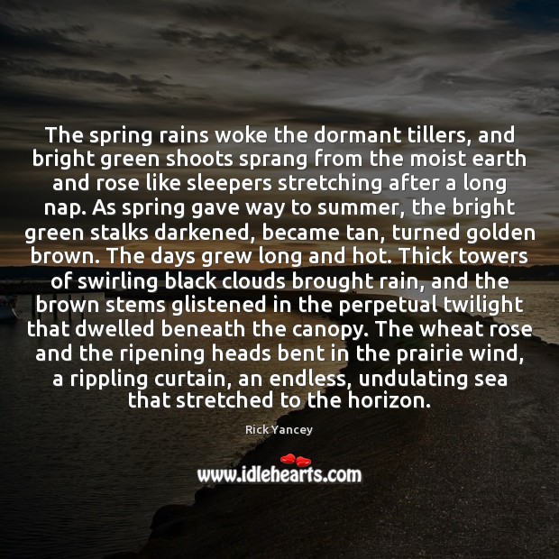 The spring rains woke the dormant tillers, and bright green shoots sprang Rick Yancey Picture Quote