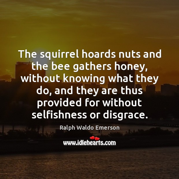 The squirrel hoards nuts and the bee gathers honey, without knowing what Ralph Waldo Emerson Picture Quote