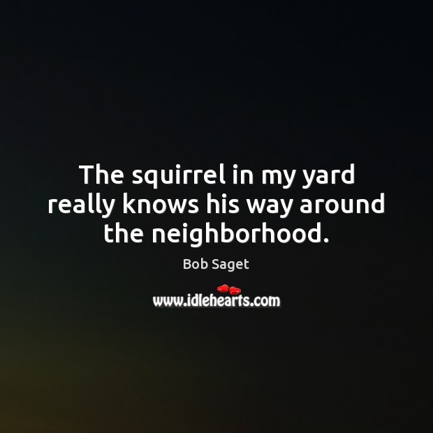The squirrel in my yard really knows his way around the neighborhood. Bob Saget Picture Quote