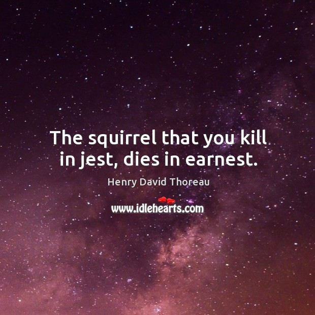 The squirrel that you kill in jest, dies in earnest. Image
