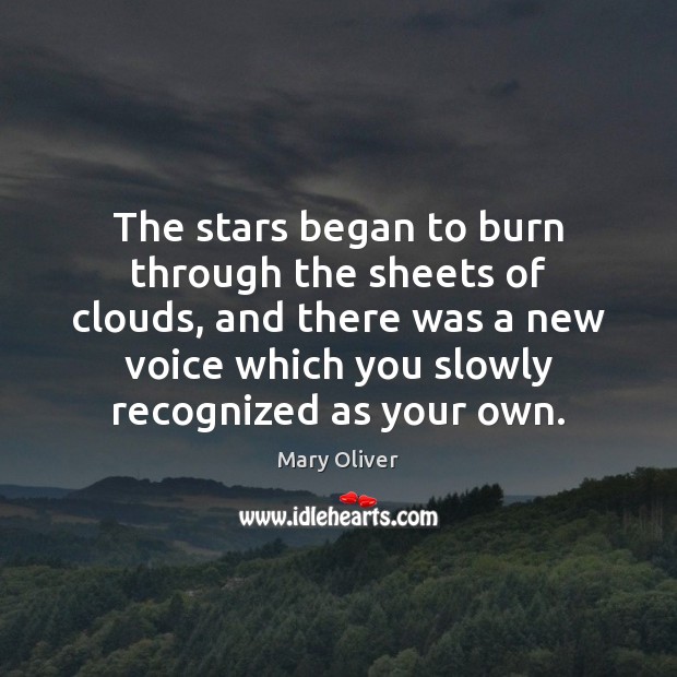 The stars began to burn through the sheets of clouds, and there Mary Oliver Picture Quote