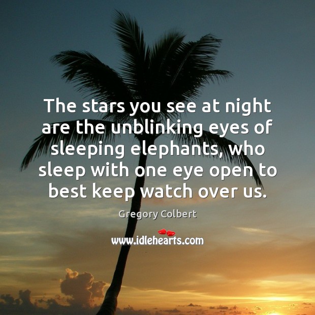 The stars you see at night are the unblinking eyes of sleeping 