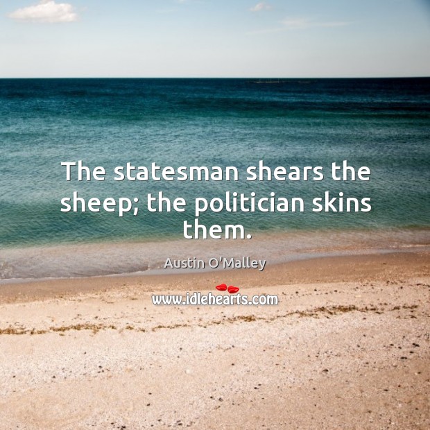 The statesman shears the sheep; the politician skins them. Austin O’Malley Picture Quote