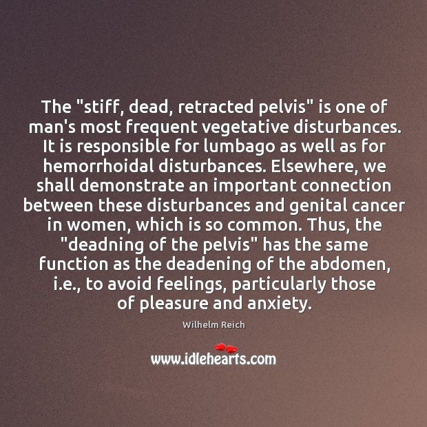 The “stiff, dead, retracted pelvis” is one of man’s most frequent vegetative Image