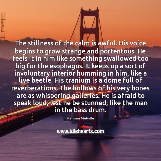 The stillness of the calm is awful. His voice begins to grow Herman Melville Picture Quote