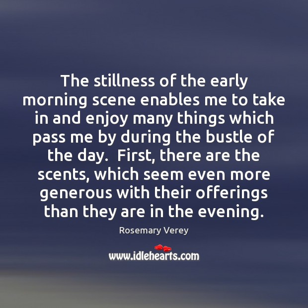 The stillness of the early morning scene enables me to take in Rosemary Verey Picture Quote