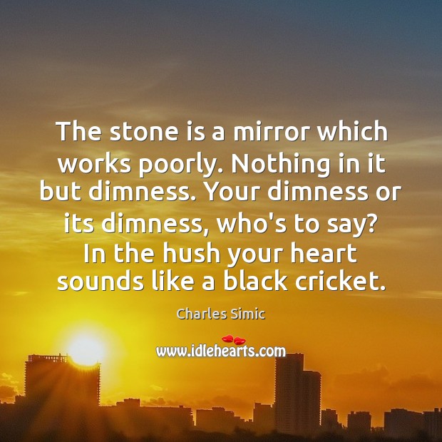 The stone is a mirror which works poorly. Nothing in it but Charles Simic Picture Quote
