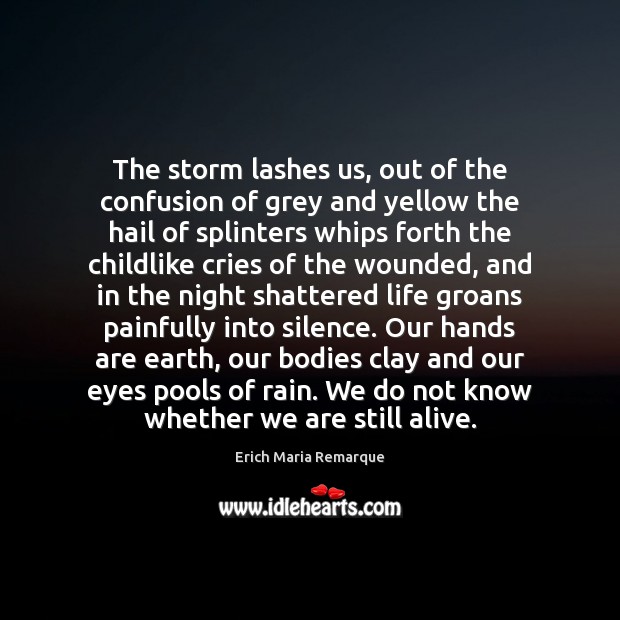 The storm lashes us, out of the confusion of grey and yellow Erich Maria Remarque Picture Quote