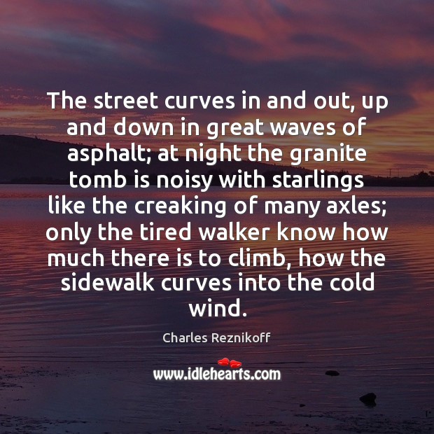 The street curves in and out, up and down in great waves Image