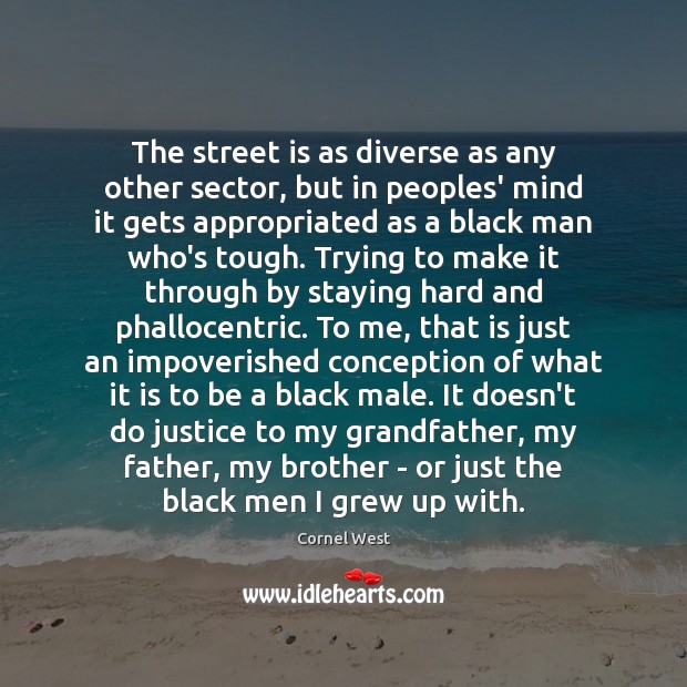 The street is as diverse as any other sector, but in peoples’ Cornel West Picture Quote