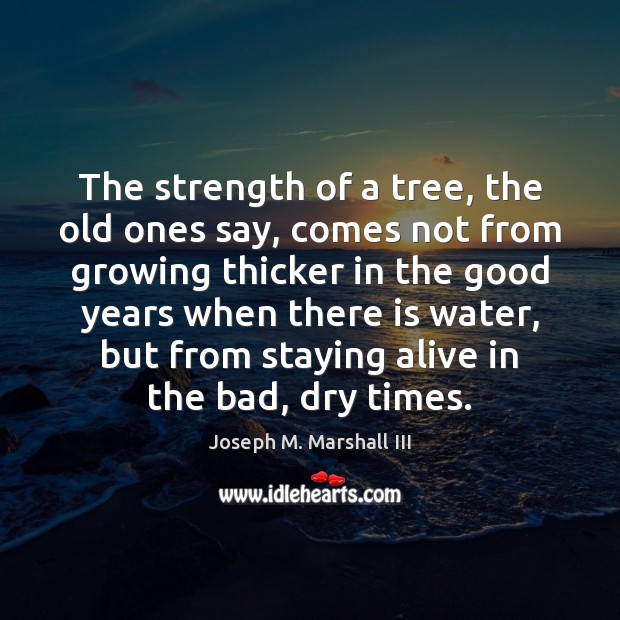 The strength of a tree, the old ones say, comes not from Joseph M. Marshall III Picture Quote