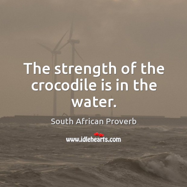 The strength of the crocodile is in the water. South African Proverbs Image