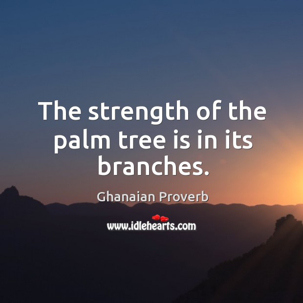 The strength of the palm tree is in its branches. Ghanaian Proverbs Image
