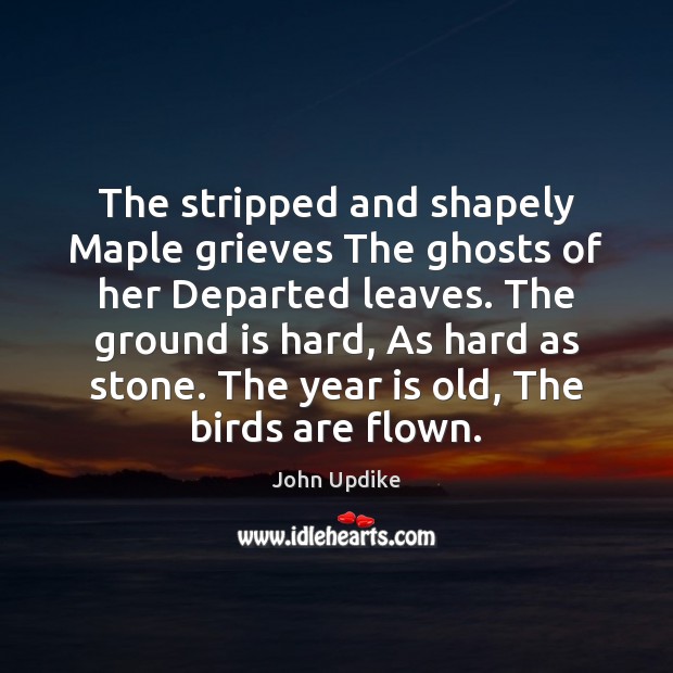 The stripped and shapely Maple grieves The ghosts of her Departed leaves. Image