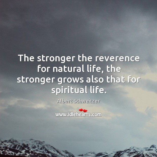 The stronger the reverence for natural life, the stronger grows also that Albert Schweitzer Picture Quote