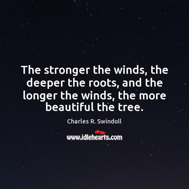 The stronger the winds, the deeper the roots, and the longer the Charles R. Swindoll Picture Quote