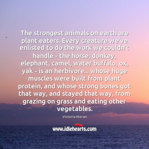 The strongest animals on earth are plant eaters. Every creature we’ve enlisted Victoria Moran Picture Quote
