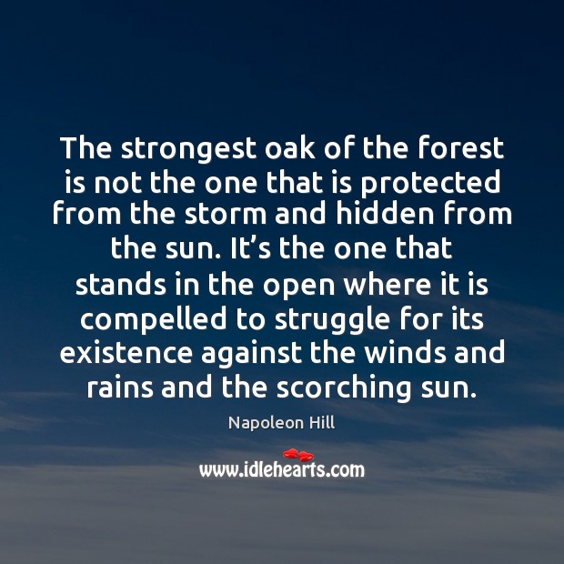 The strongest oak of the forest is not the one that is Napoleon Hill Picture Quote