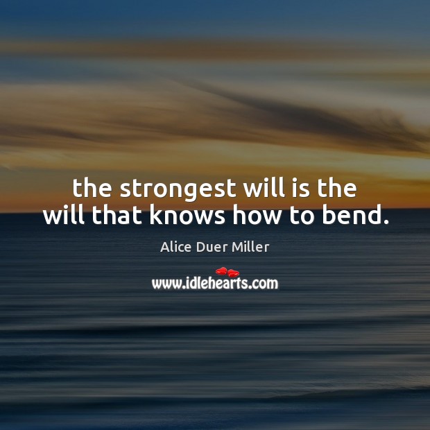 The strongest will is the will that knows how to bend. Alice Duer Miller Picture Quote