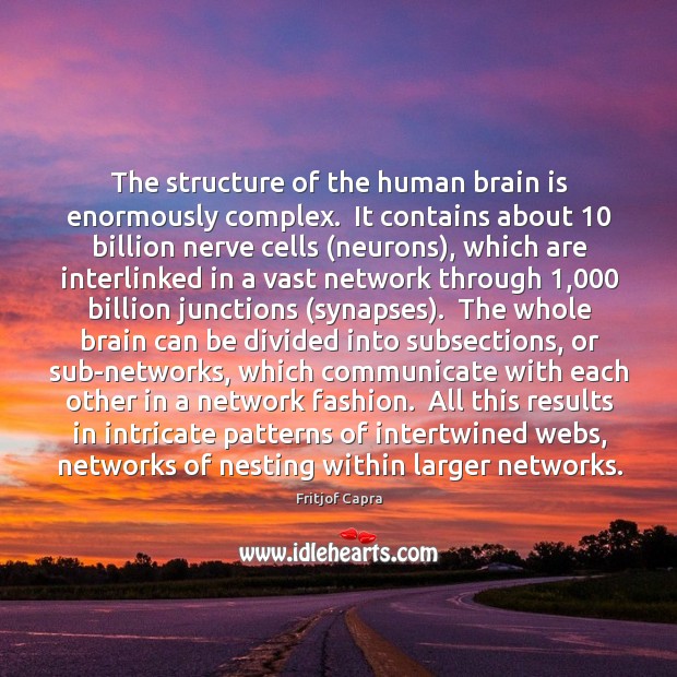The structure of the human brain is enormously complex.  It contains about 10 Fritjof Capra Picture Quote
