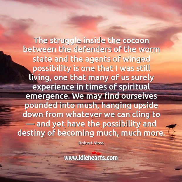 The struggle inside the cocoon between the defenders of the worm state Robert Moss Picture Quote