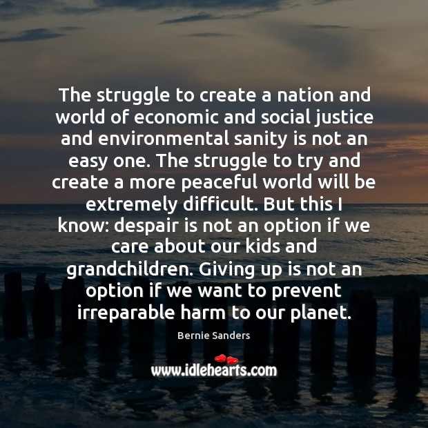 The struggle to create a nation and world of economic and social Bernie Sanders Picture Quote