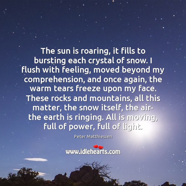 The sun is roaring, it fills to bursting each crystal of snow. Image