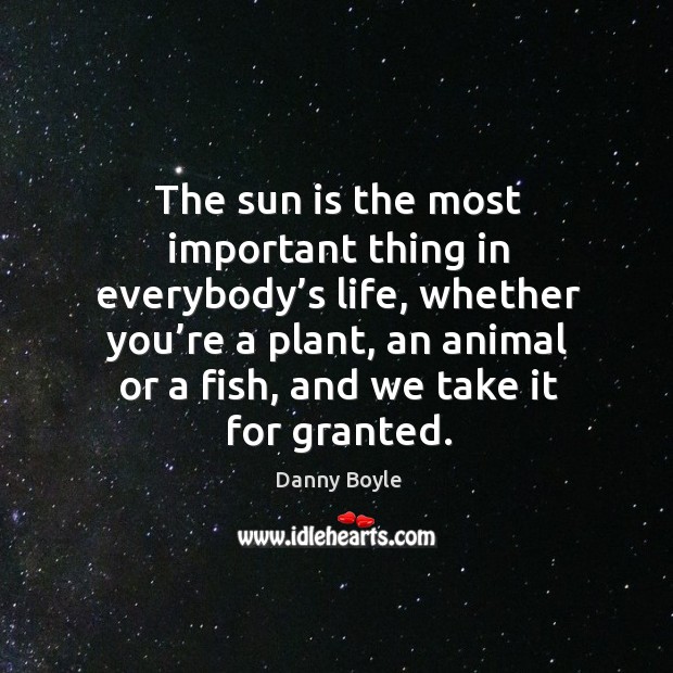 The sun is the most important thing in everybody’s life, whether you’re a plant Image