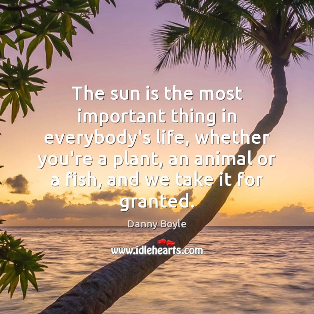 The sun is the most important thing in everybody’s life, whether you’re Danny Boyle Picture Quote