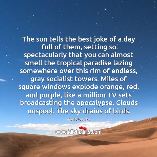 The sun tells the best joke of a day full of them, Tod Wodicka Picture Quote