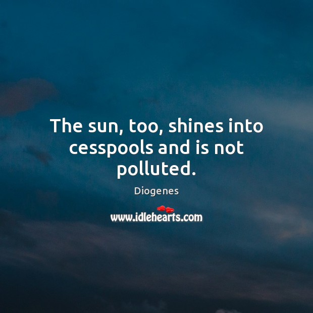 The sun, too, shines into cesspools and is not polluted. Image