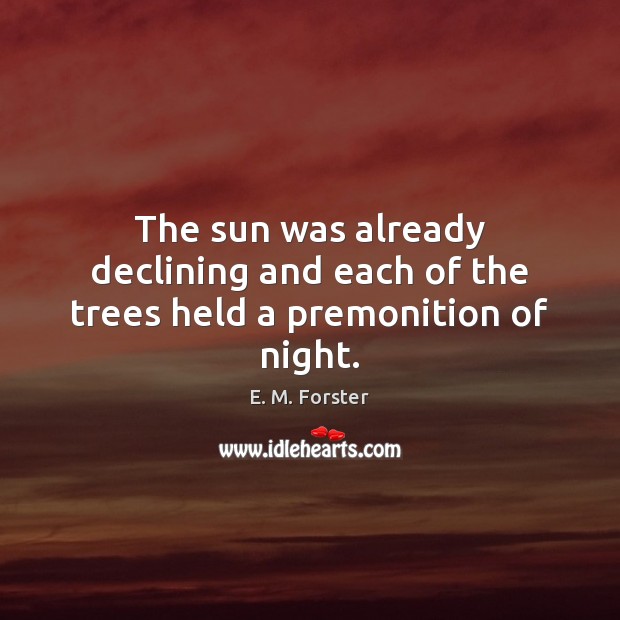 The sun was already declining and each of the trees held a premonition of night. Image