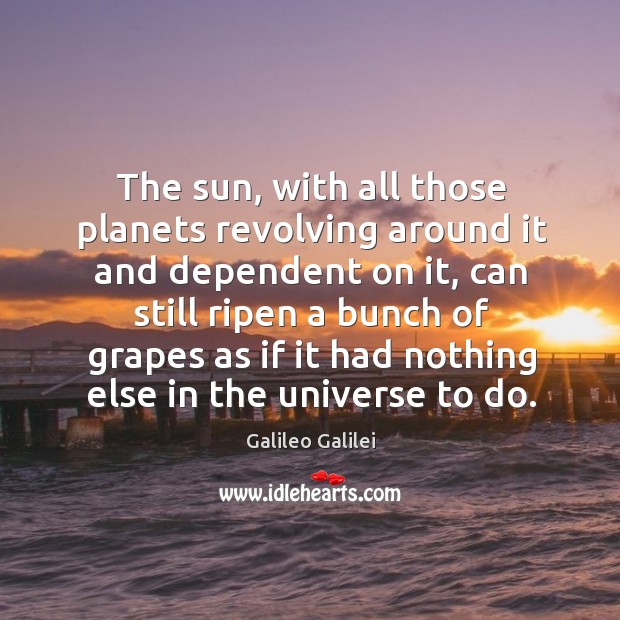 The sun, with all those planets revolving around it and dependent on it, can still ripen Galileo Galilei Picture Quote