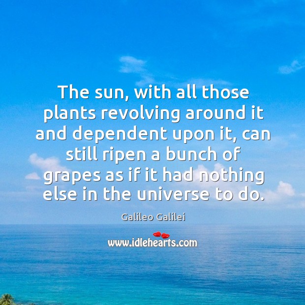 The sun, with all those plants revolving around it and dependent upon it Galileo Galilei Picture Quote