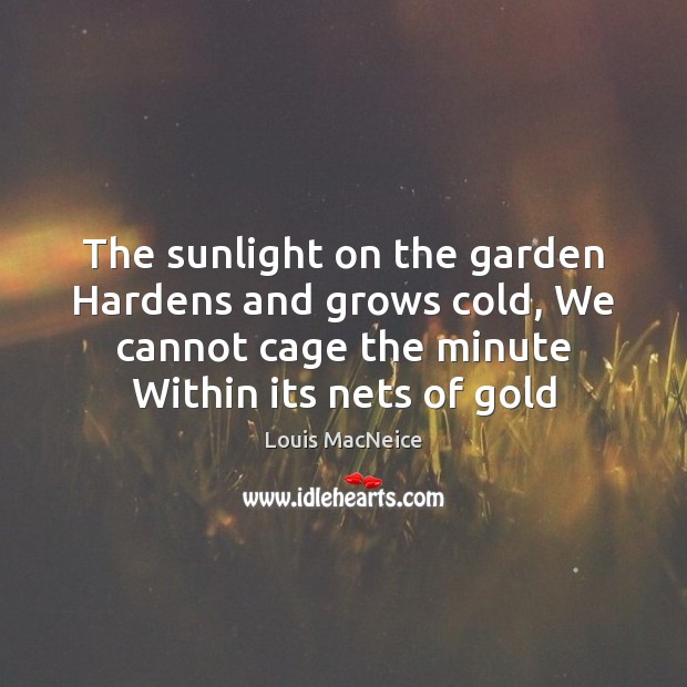 The sunlight on the garden Hardens and grows cold, We cannot cage Louis MacNeice Picture Quote